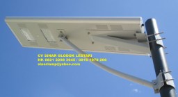 Lampu Jalan Tenaga Matahari 40W All In One